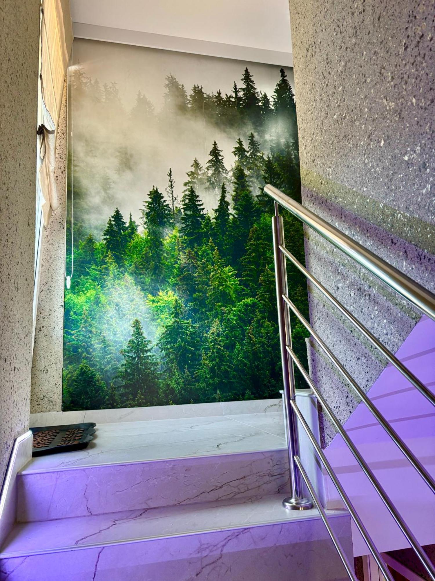 Przy Parku Apartment